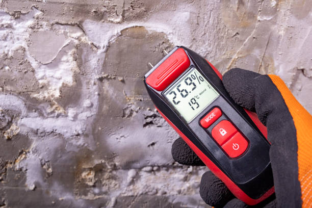 Best Attic Mold Removal  in Mccullom Lake, IL