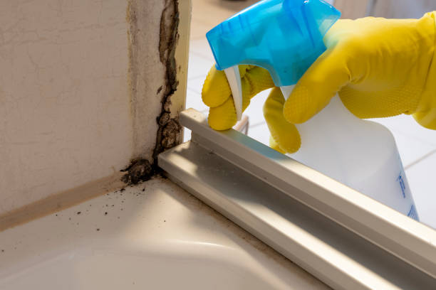 Best Mold Removal Specialists  in Mccullom Lake, IL