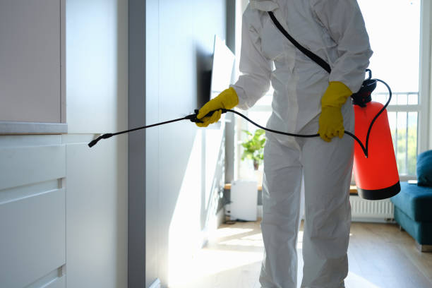 Best Affordable Mold Removal  in Mccullom Lake, IL
