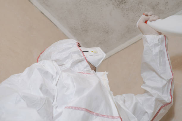 Best Mold Damage Repair  in Mccullom Lake, IL